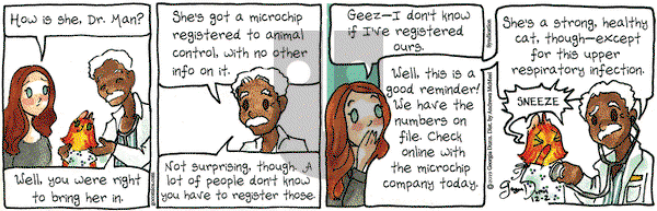 Breaking Cat News on Monday December 2, 2019 Comic Strip