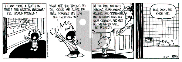 Calvin and Hobbes on Tuesday December 27, 1988 Comic Strip
