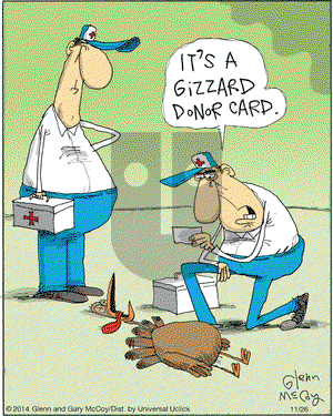 The Flying McCoys on Wednesday November 26, 2014 Comic Strip