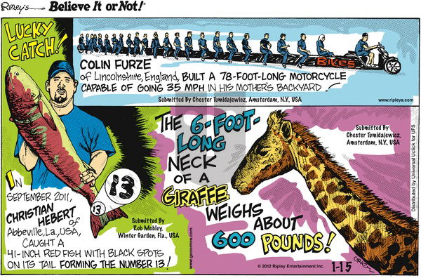 Ripley's Believe It or Not on Sunday January 15, 2012 Comic Strip