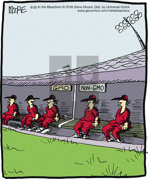 In the Bleachers on Tuesday August 30, 2016 Comic Strip