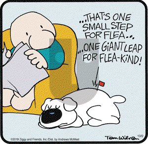 Ziggy on Wednesday October 2, 2019 Comic Strip
