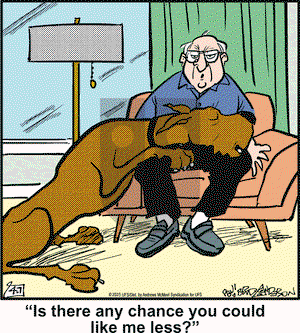 Marmaduke on Monday April 7, 2025 Comic Strip