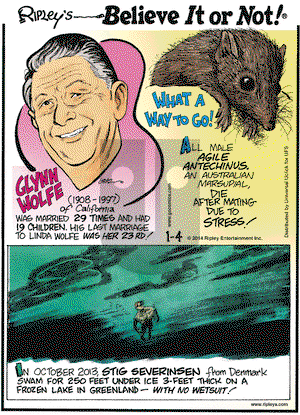 Ripley's Believe It or Not on Saturday January 4, 2014 Comic Strip