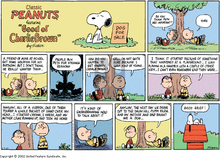 Peanuts on Sunday February 3, 2002 Comic Strip