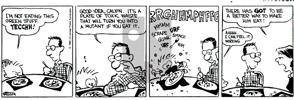 Calvin and Hobbes - Tuesday December 31, 1985 Comic Strip