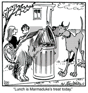 Marmaduke on Tuesday May 23, 2006 Comic Strip