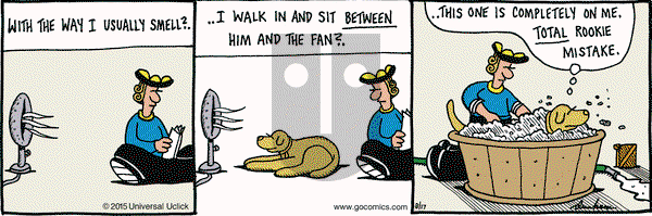 Overboard on Monday August 17, 2015 Comic Strip