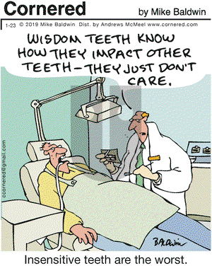Cornered on Wednesday January 23, 2019 Comic Strip