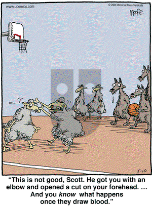 In the Bleachers on Monday May 10, 2004 Comic Strip