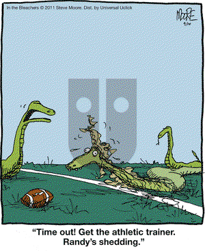 In the Bleachers on Saturday September 10, 2011 Comic Strip