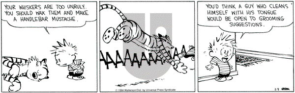 Calvin and Hobbes on Wednesday February 9, 1994 Comic Strip