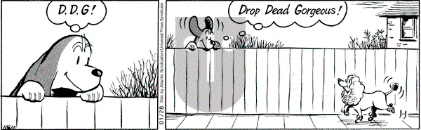 Fred Basset on Wednesday January 28, 2009 Comic Strip