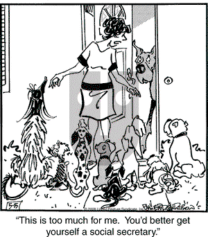 Marmaduke on Thursday May 15, 2008 Comic Strip