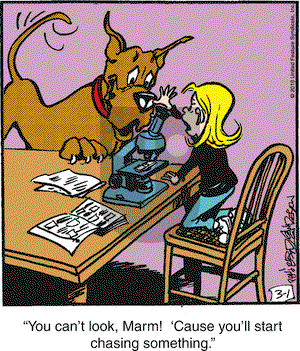 Marmaduke on Monday March 1, 2010 Comic Strip