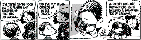 Rose is Rose on Monday November 20, 1995 Comic Strip