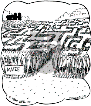 Reality Check on Friday June 11, 1999 Comic Strip