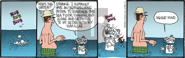 Monty on Saturday August 8, 2009 Comic Strip