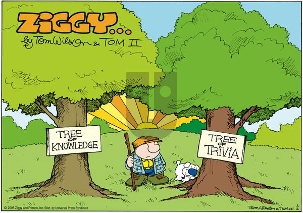Ziggy on Sunday January 2, 2005 Comic Strip