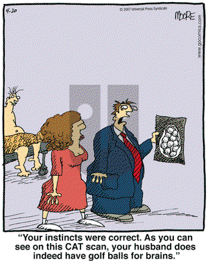 In the Bleachers on Friday April 20, 2007 Comic Strip