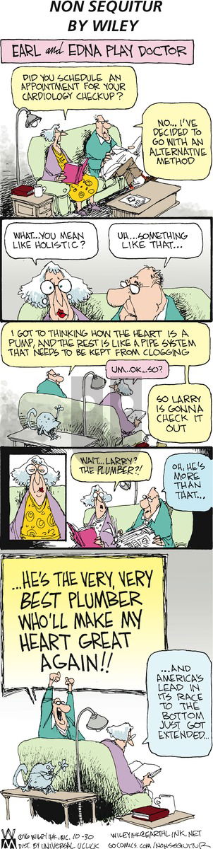 Non Sequitur on Sunday October 30, 2016 Comic Strip