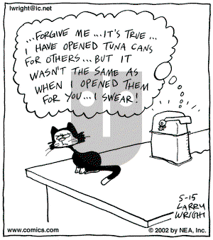 Kit 'N' Carlyle on Wednesday May 15, 2002 Comic Strip