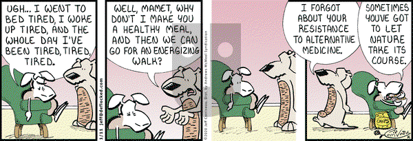 DeFlocked on Saturday January 11, 2020 Comic Strip
