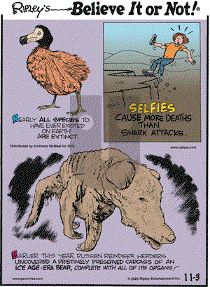 Ripley's Believe It or Not on Tuesday November 3, 2020 Comic Strip