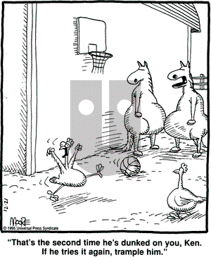 In the Bleachers on Thursday December 21, 1995 Comic Strip