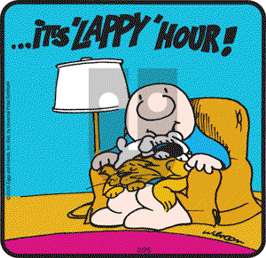 Ziggy - Wednesday February 25, 2009 Comic Strip