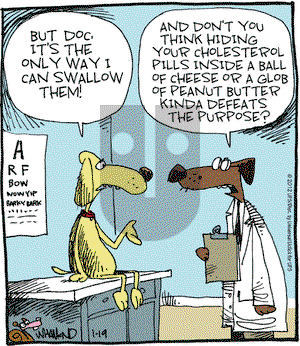 Reality Check on Thursday January 19, 2012 Comic Strip