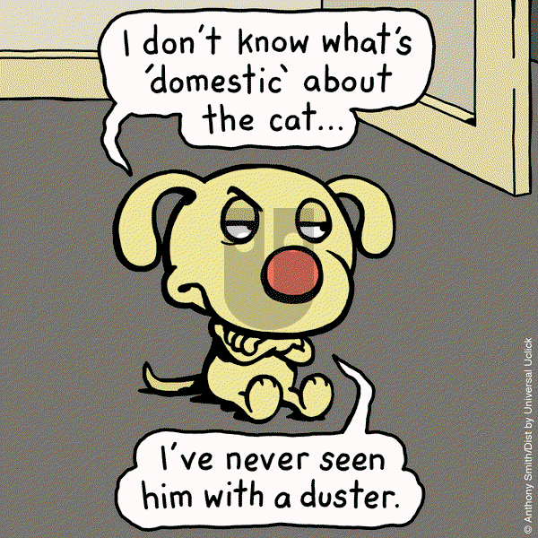 Cattitude — Doggonit on Monday March 17, 2025 Comic Strip