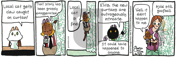 Breaking Cat News on Friday December 29, 2017 Comic Strip