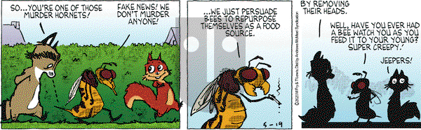 Over the Hedge on Tuesday May 19, 2020 Comic Strip