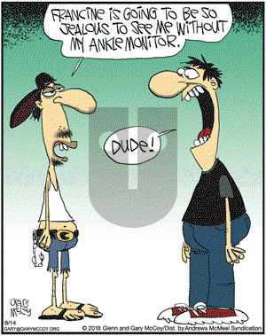 The Flying McCoys on Tuesday August 14, 2018 Comic Strip