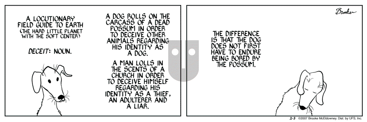 9 Chickweed Lane - Saturday February 3, 2007 Comic Strip