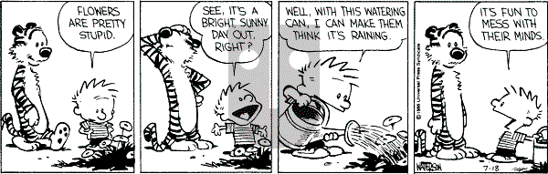 Calvin and Hobbes - Friday July 18, 1986 Comic Strip