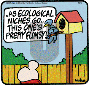 Ziggy on Tuesday October 5, 2021 Comic Strip