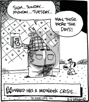 Reality Check on Wednesday August 13, 2008 Comic Strip