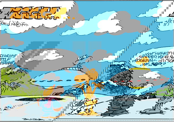 Ziggy - Sunday December 4, 2011 Comic Strip