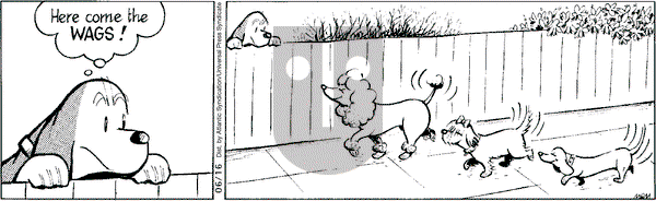 Fred Basset on Monday June 16, 2008 Comic Strip