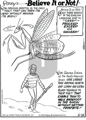 Ripley's Believe It or Not on Monday February 14, 2000 Comic Strip