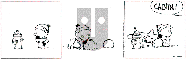 Calvin and Hobbes on Wednesday February 1, 1995 Comic Strip