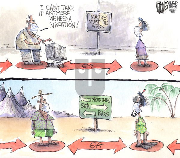 Matt Davies on Sunday July 26, 2020 Comic Strip