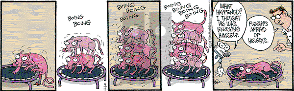 Monty on Saturday May 13, 2017 Comic Strip