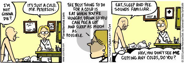 The Big Picture on Thursday February 27, 2025 Comic Strip