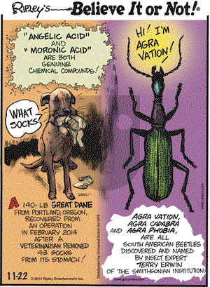 Ripley's Believe It or Not on Saturday November 22, 2014 Comic Strip