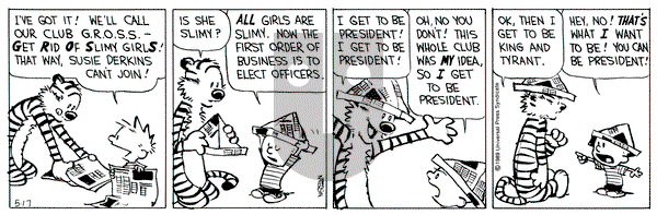 Calvin and Hobbes on Wednesday May 17, 1989 Comic Strip