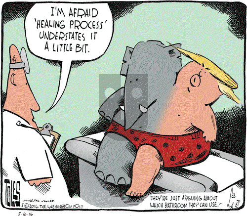Tom Toles on Friday May 6, 2016 Comic Strip