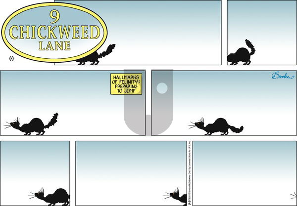 9 Chickweed Lane on Sunday May 31, 2015 Comic Strip
